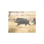 SWAROVSKI Z8i 0,75-6x20 L, 4A-IF - Image 8